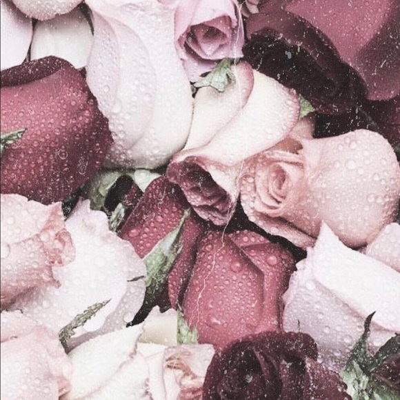 Meet your Posher, Brandon - Picture 1 of 1